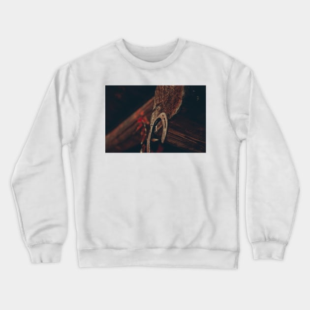 Horseshoe Crewneck Sweatshirt by Luigi Veggetti